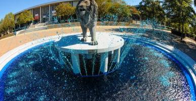 Lion Fountain at Homecoming